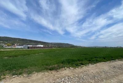 Teren de 1789 mp, în Oșorhei - 2