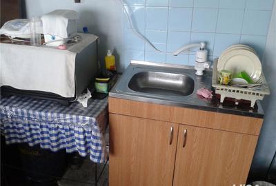 Casă cu 3 camere cu Teren 10000 Mp în Gherteniș - 8