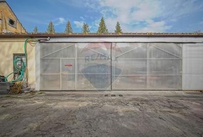 Spatiu comercial stradal pe Avram Iancu - 9