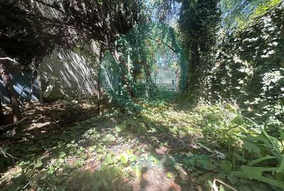 Casuta batraneasca cu teren 184 mp de inchiriat Casuta batraneasca cu teren 184 mp de inchiriat - 4