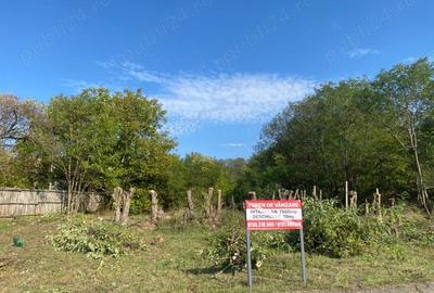 Teren de 7000 mp, în Drăgoești - 6