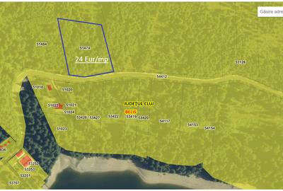 Teren agricol extravilan de 3000 mp, în Beliș - 5