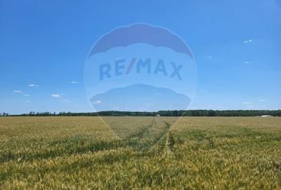 Teren intravilan 4,100 mp, fs 18 ml si 2222 mp fs 16 ml Peris IF - 1