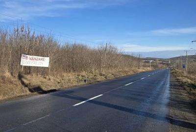 Teren Construcții intravilan de 15000 mp, în Poiana (Schitu Duca) - 5