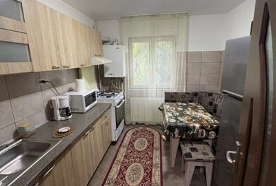 Apartament spre inchiriere ,miorita - 7