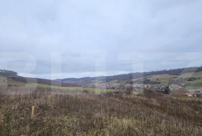 Teren intravilan 4774 mp de vanzare in Livezeni - 7