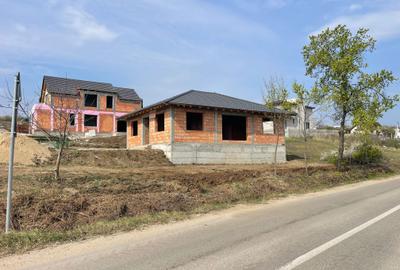 Casă cu 4 camere în Săldăbagiu de Munte - 8