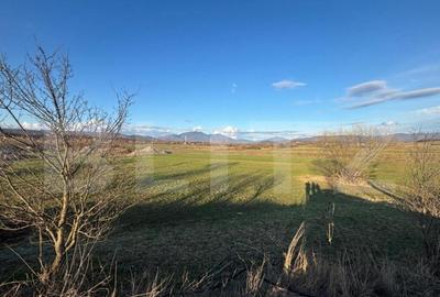 Teren extravilan 1000 mp, zona Livezile - 2