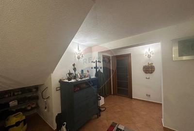 Salsig - PROPRIETATE DEOSEBITA - 9