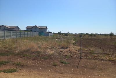 Adunatii Copaceni, Giurgiu - 7