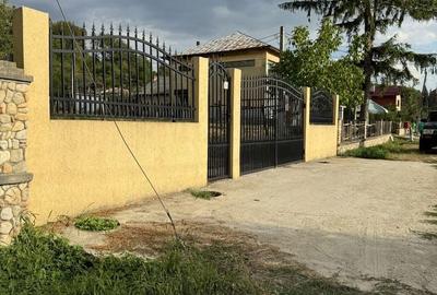 Spațiu comercial, în Beba Veche - 3