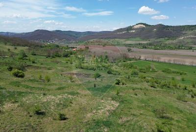 Domeniu - 66 Hectare - Teren deosebit Copsa Mica cu desch... - 14