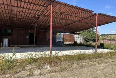 Spațiu industrial, de 640 mp, în Săvinești - 4