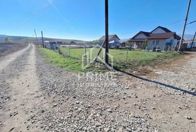 Teren de 393 mp, în Oarda - 2