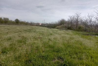 Teren de 5000 mp, în Afumați - 8