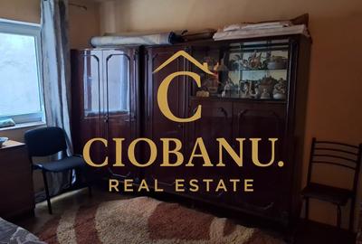 Casa de vanzare in Craiova zona Romanesti - 11