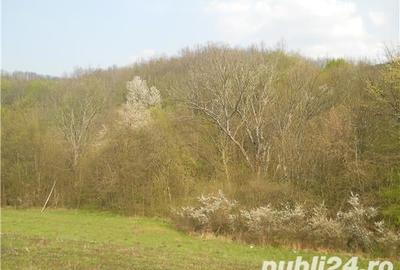 Teren în Groși - 10