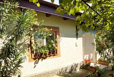 Casa cu teren de vanzare in Rugionasa iasi - 2