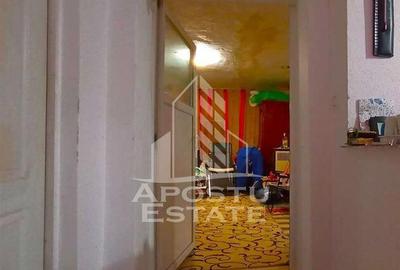 Casă cu 4 camere cu Teren 996 Mp în Dudeștii Noi - 4