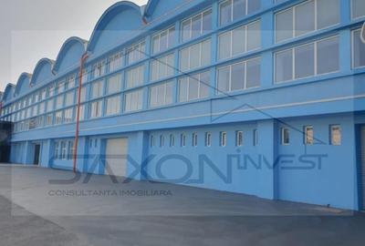 Sos Giurgiului - Jilava, 5400 mp pod  rulant - 2