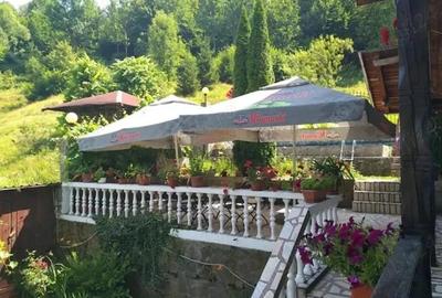 Spațiu comercial, de 400 mp, în Văliug - 5