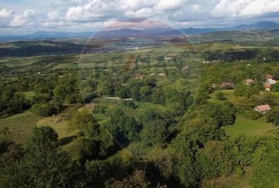 Teren intravilan de vanzare in Magureni - 6