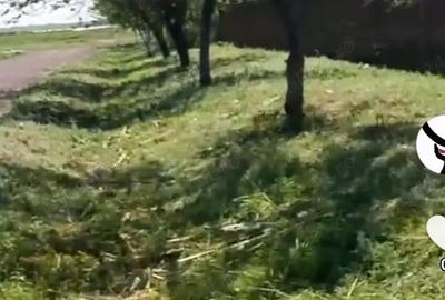 Casă cu 6 camere cu Teren 3365 Mp în Constantin Brâncoveanu - 6