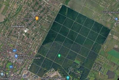 Teren Construcții intravilan de 1466 mp, în Dumbrăvița