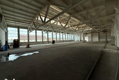 Spațiu comercial, de 1,650 mp, în Central - 8
