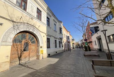 2 camere, Finisat, Curte str.Iuliu Maniu, Centru - 13