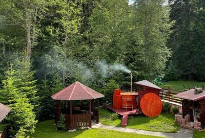 Casa de vacanta superba-Predeal- liniste, natura si confort - 1