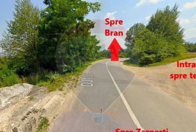 Teren 4,223mp Zarnesti - Tohanita - 3