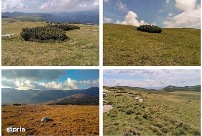 Spațiu comercial, în Sud - 1