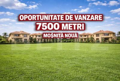 Teren de 7500 mp, în Moșnița Nouă