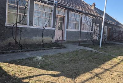 Casă cu 3 camere în Adea - 3