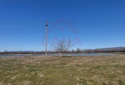 Teren agricol extravilan de 20000 mp, în Vest - 2