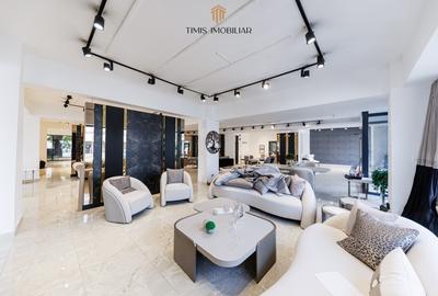 Spațiu comercial, de 450 mp, în Traian - 18