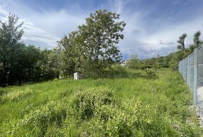 Teren Construcții intravilan de 1340 mp, în Cisnădioara - 3