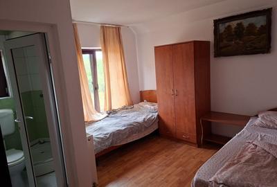 Casă individuală cu 10 camere cu Canalizare în Bercu Roșu - 9