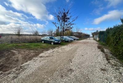 Teren 1000 mp intravilan Ciolpani-Piscu - 2