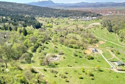 Teren Intravilan parcele 1000mp - 11