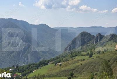 Teren de 4000 mp, în Râmeț