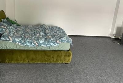 SPATIU DE INCHIRIAT TIMURI NOI-TINERETULUI - 7