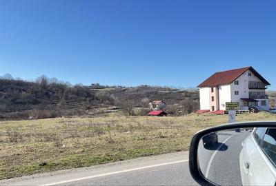 Spațiu comercial, în Băile Felix - 1