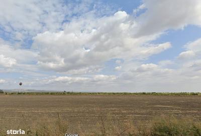 Teren de 36000 mp, în Albești-Paleologu - 1