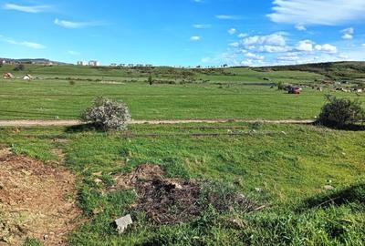 Vand teren intravilan 3000 mp in Sebes, jud Alba - 5