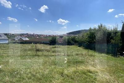 Teren intravilan de vanzare, 611 mp Strada Borviz - 1