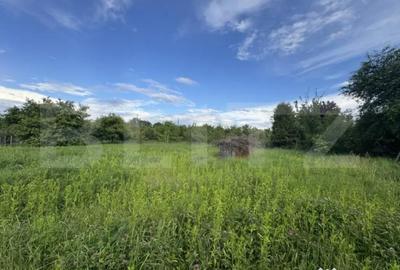 Teren de 1500 mp, în Central - 1