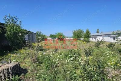 NOU! Teren intravilan, S= 2793 mp, cu constructie, Zona Lic. Agricol! - 7