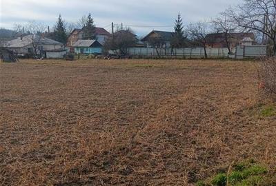 Teren 3500mp. Paun Bucium la asfalt cu toate utilitatile - 1